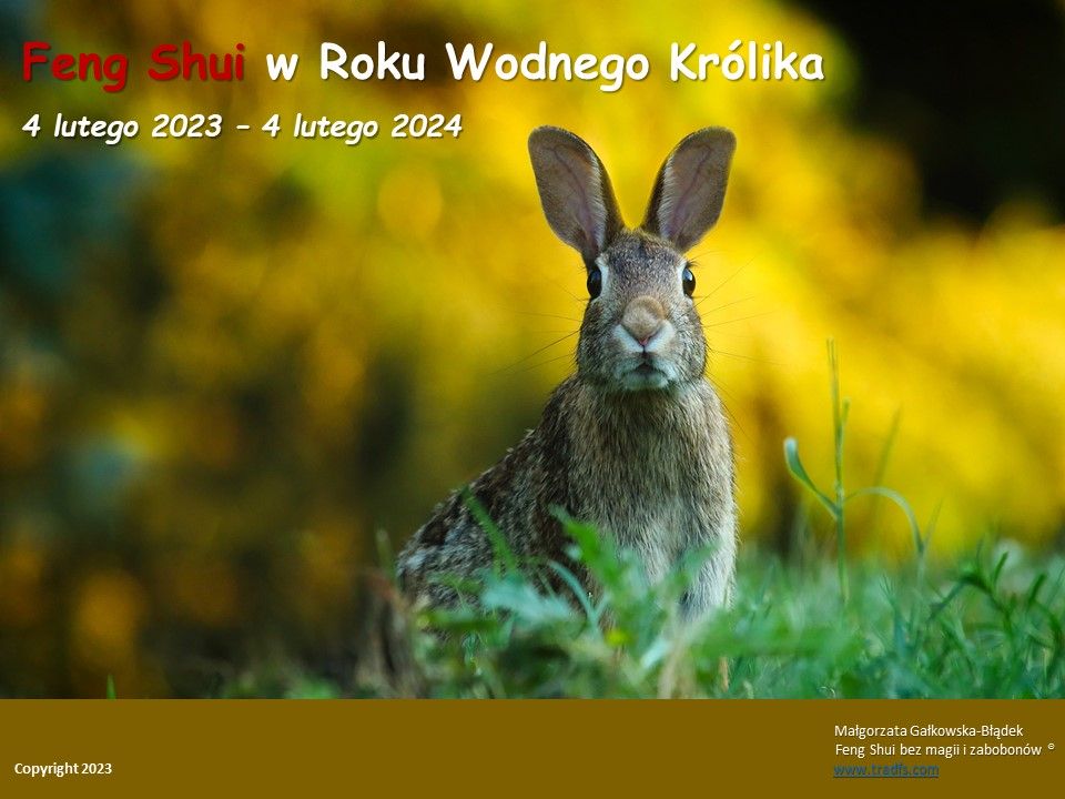 przepowiednia feng shui na rok królika 2023